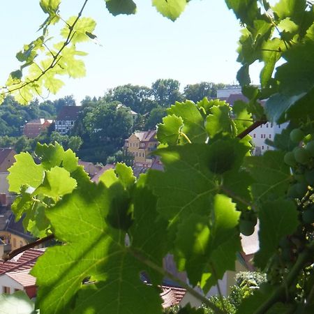 Hotel Schlossberg Meißen Exteriör bild