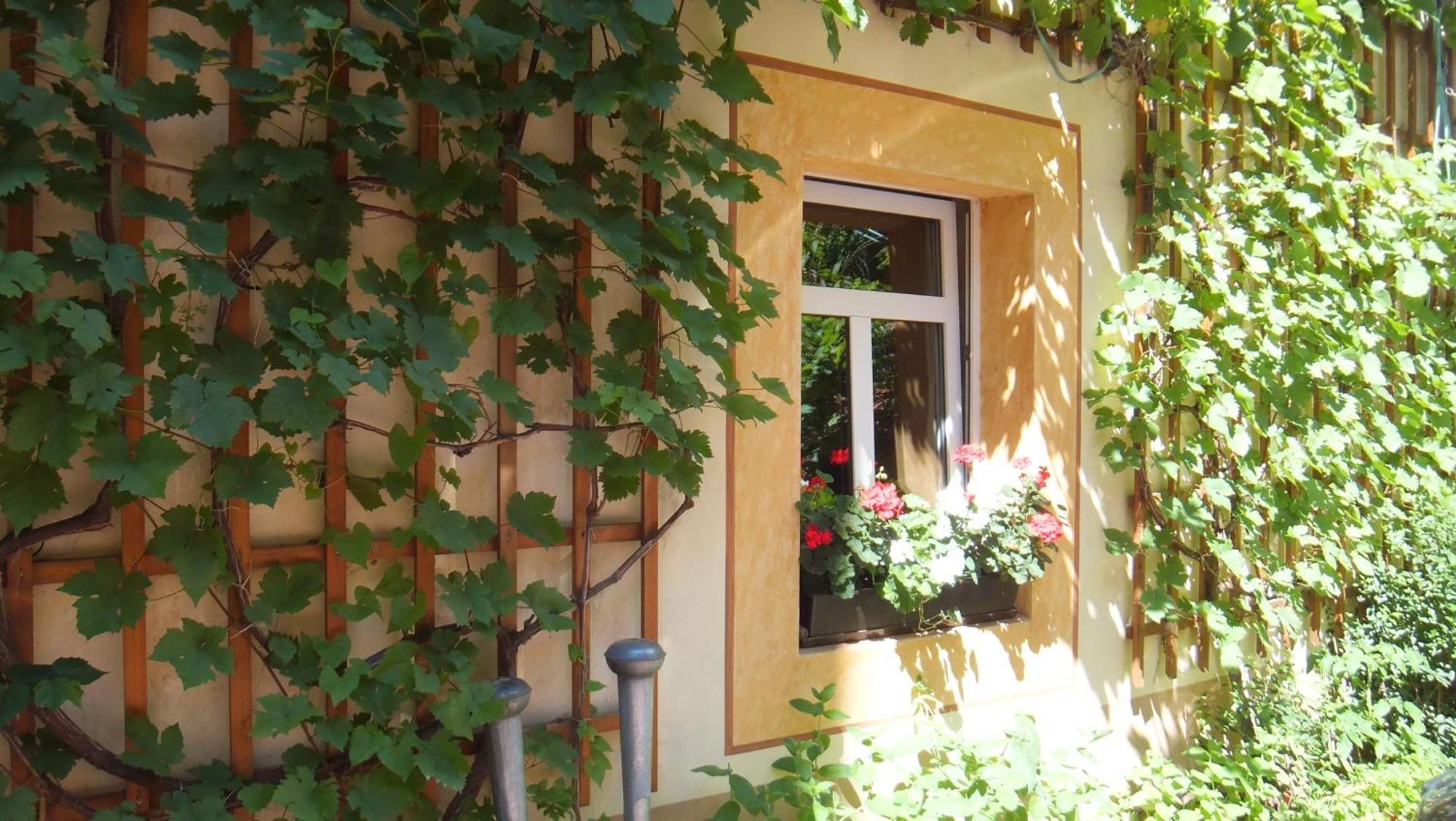 Hotel Schlossberg Meißen Exteriör bild